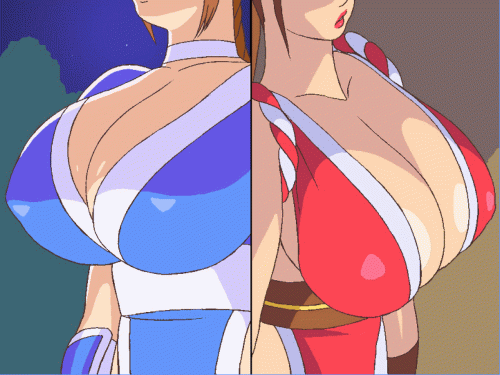 dead or alive, fatal fury, dead or alive 5, shiranui mai, kasumi (dead or alive)