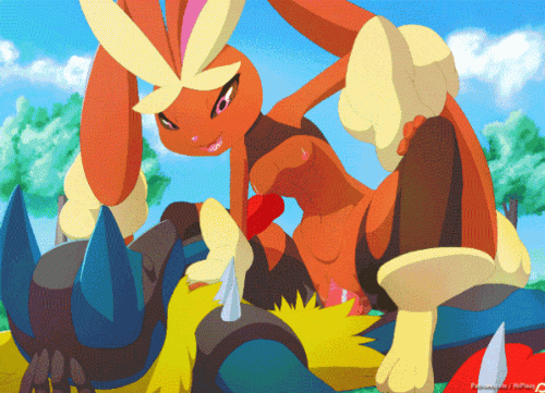 lucario(ルカリオ) lopunny(ミミロップ)|pokemon(ポケモン)|