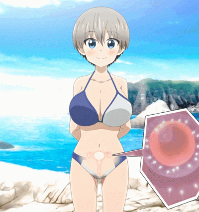 uzaki-chan wa asobitai!, uzaki hana, siokarubi, censored, animated, animated gif