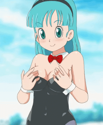 dragon ball, dragon ball (classic), bulma briefs, animated, low resolution, anim