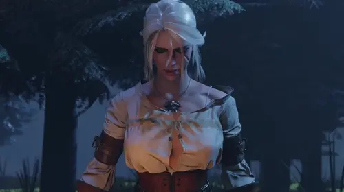 The Witcher,The Witcher 3: Wild Hunt Cirilla Fiona Elen Riannon doujin anime by Masterkabal