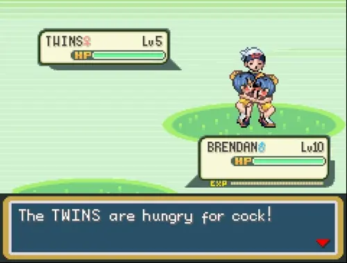 Pokemon,Pokemon Ruby Sapphire & Emerald Brendan,Twins animated by Theevilfallenone