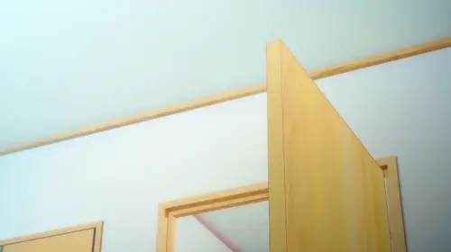 hentai video by Totoro On