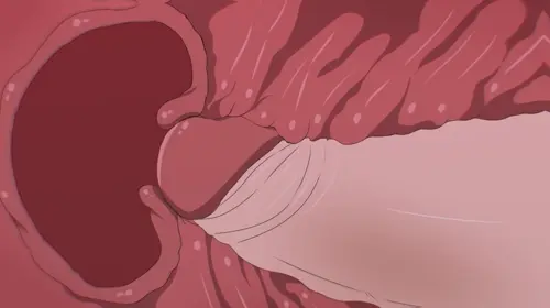 Black Clover Noelle Silva hentai anime by gmbtremastered