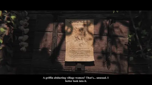 The Witcher,The Witcher 3: Wild Hunt Cirilla Fiona Elen Riannon video by Zmsfm,CinderDryadVA,ChloeAngelVA,Witcherres