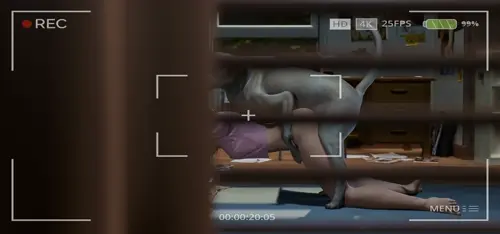 Life Is Strange Rachel Amber hentai video by Blueberg